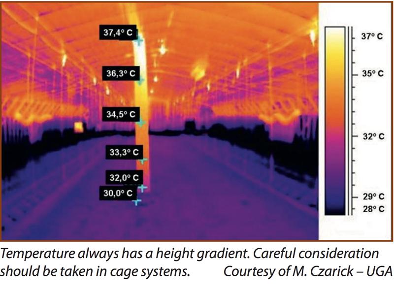 How to solve the chicken house temperature difference？ phoenix