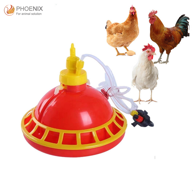Plastic Poultry Waterer Feeder Breeding Equipment for Chicken Bird Quail Drinker LIUSM 15 Pcs Chicken Water Bowls with Nuts 