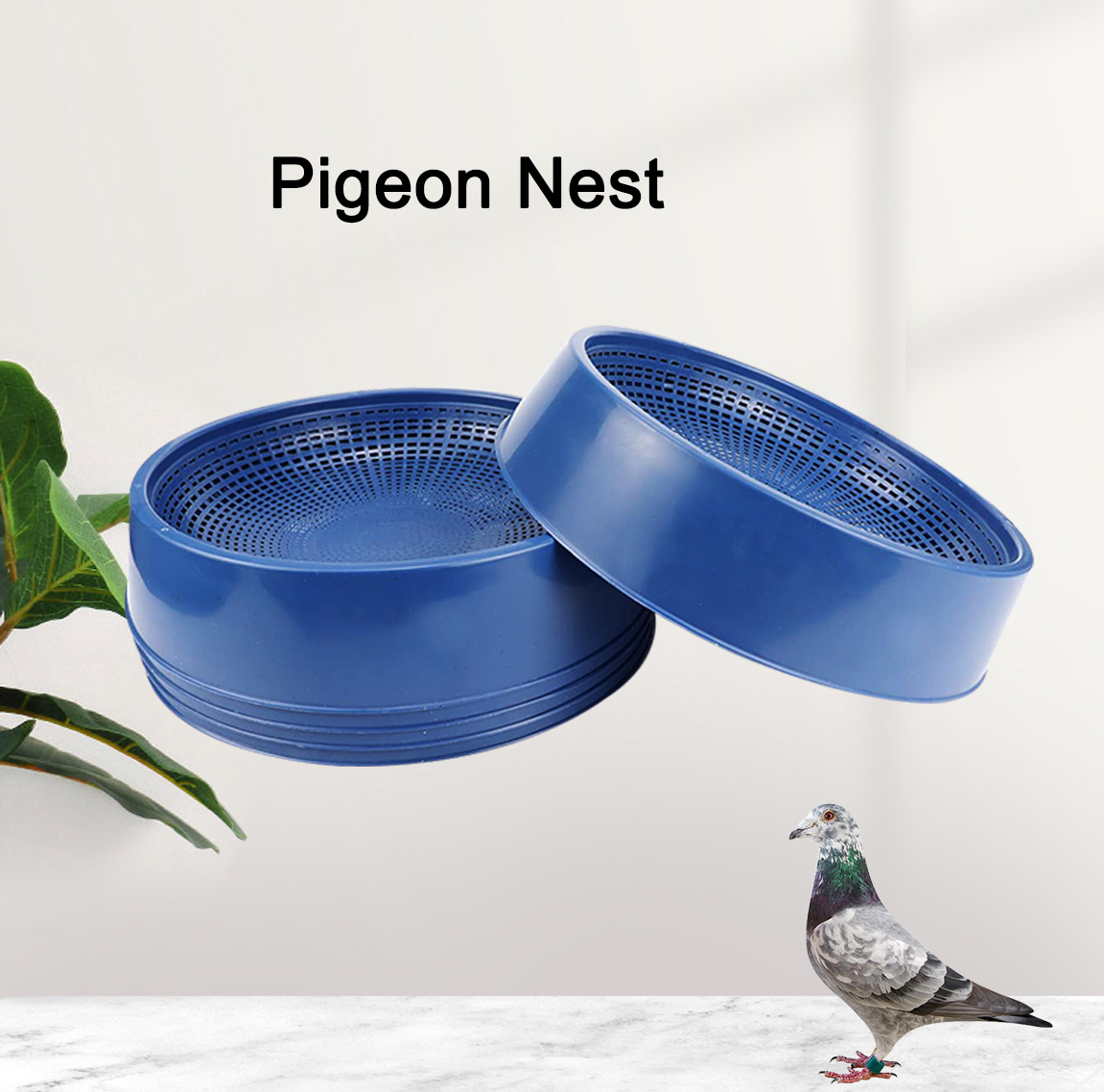 Plastic Pigeon Nest Buy pigeon nest, pigeon nest box, pigeon foot