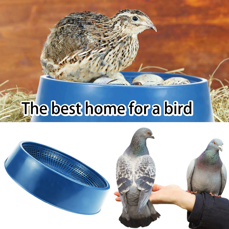 Plastic Pigeon Nest Buy pigeon nest, pigeon nest box, pigeon foot