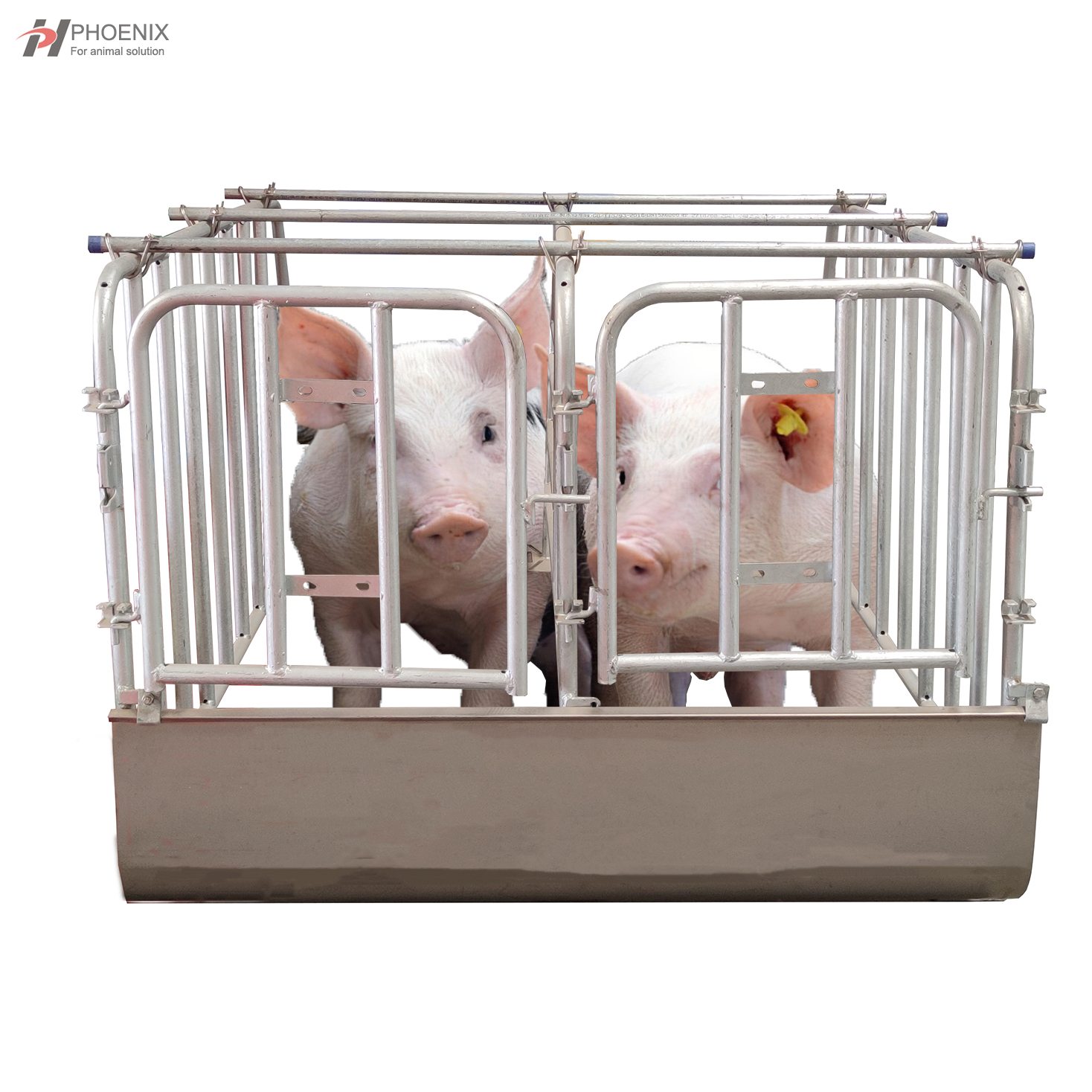 Galvanized Cages Gestation Stall Or Insemination Stall for Sow Buy